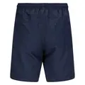 Badeshorts til herre Tufte Herring Swim Shorts M 049