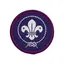 WOSM-merke til speiderskjorta WOSM Verdensmerke &#216; 4 cm